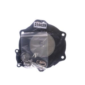 ASCO K316029 Replacement Repair Kit for 2 main image.