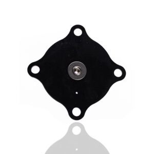 ASCO K316029 Replacement Repair Kit for 2" Valve