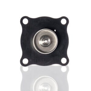 ASCO K316029 Replacement Repair Kit for 2" Valve