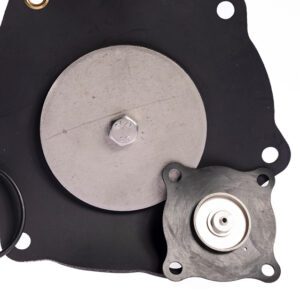 ASCO 316029 Replacement Repair Kit for 2" Valve