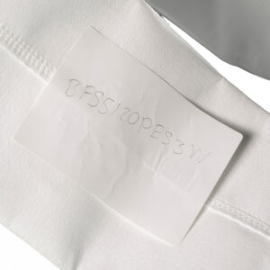 BFS5120PES3W bag filter.