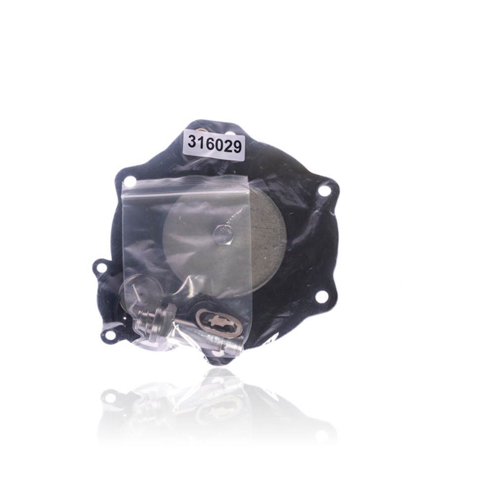 ASCO K316029 Replacement Repair Kit for 2.